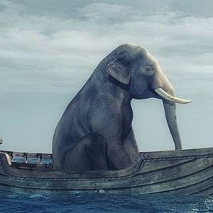 Meet your Posher, Max